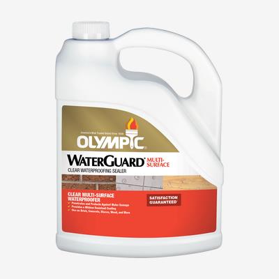 Olympic WaterGuard 11 oz. Clear Exterior Multisurface Waterproofer Spray  55548XIS-54 - The Home Depot